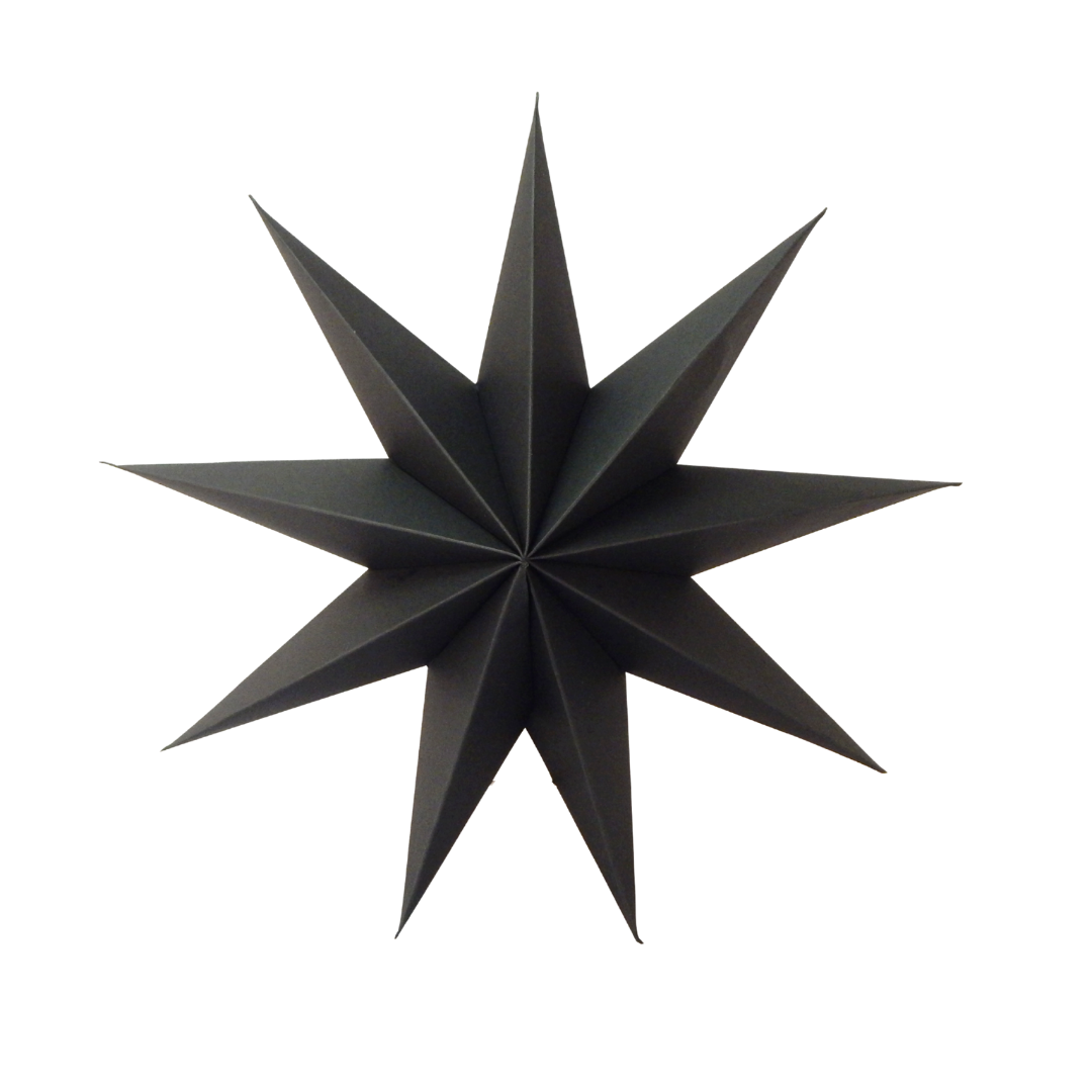 Black and Gold hanging star decoration