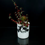 Load image into Gallery viewer, Velvet Rose and Oud - Limited Edition Luxury Scented Candle
